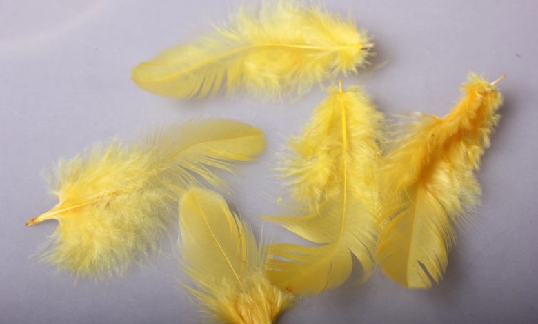 Түсінде сары өрік көрсе 2024