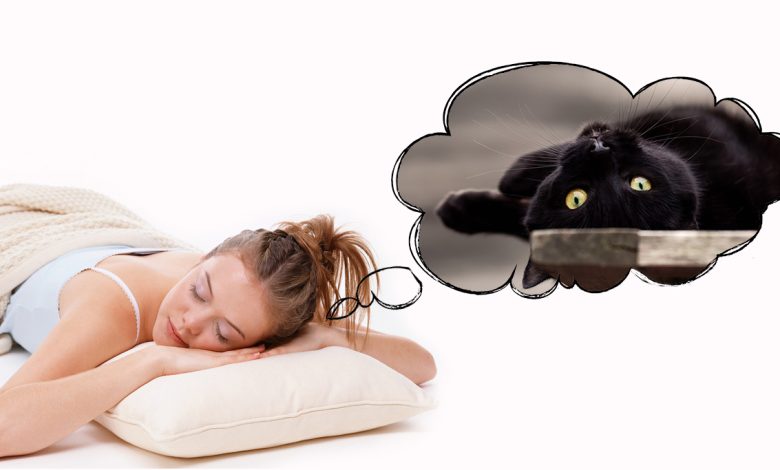 Түсінде мысық көрсе не болады