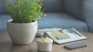 Түсінде қазан көрсең