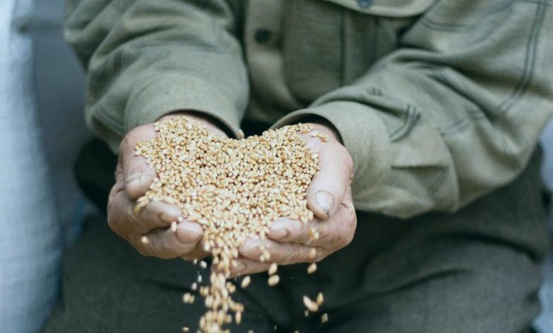 ПІТІР САДАҚА 2025: МӘНІ, ЕРЕЖЕЛЕРІ ЖӘНЕ ҚАЗІРГІ ЗАМАНҒЫ ТӘЖІРИБЕСІ