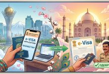 Виза в Индию для казахстанцев: e-Visa онлайн